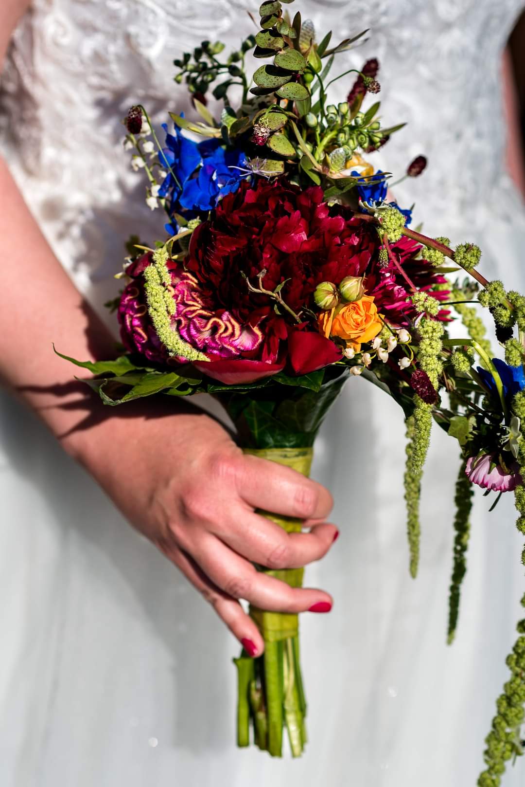 FB_IMG_1694289243721[2738]