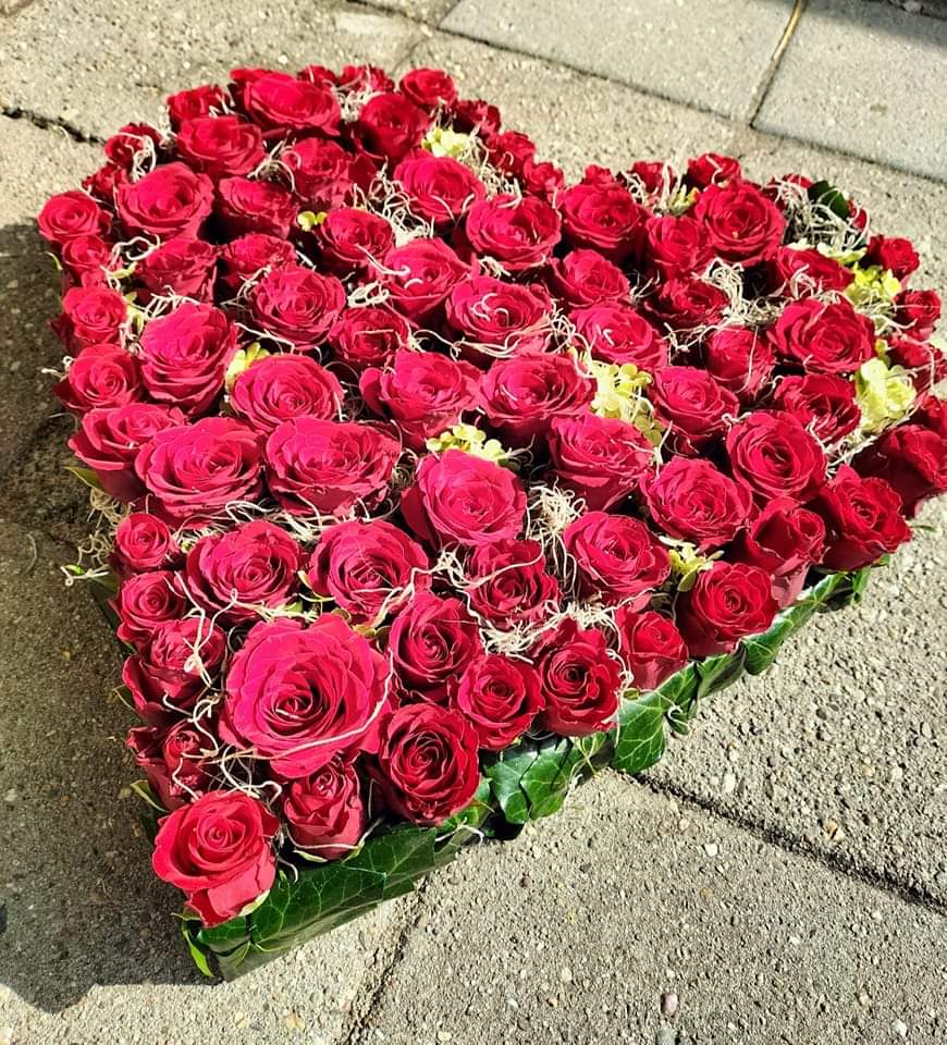 FB_IMG_1708377983245