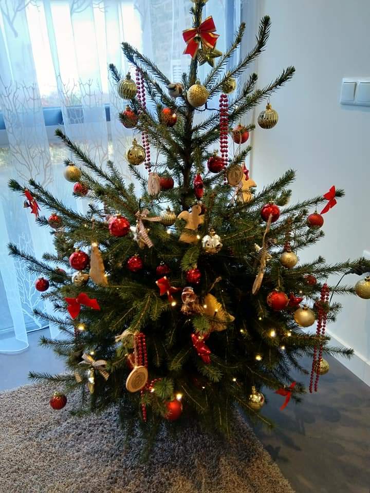 FB_IMG_1708378601416